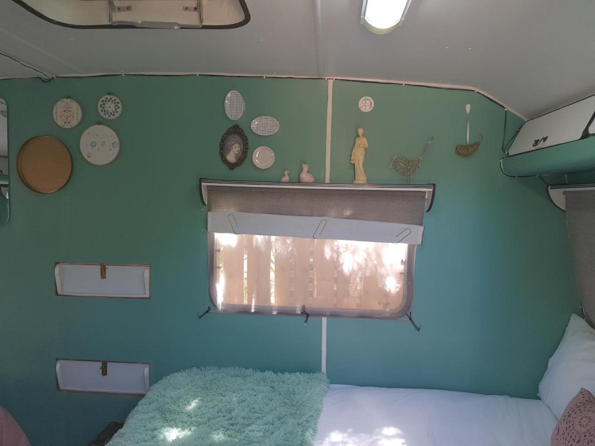 Oasis Shanti Backpackers Oudtshoorn Extérieur photo